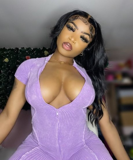 Zarijinsei HDモデル 写真