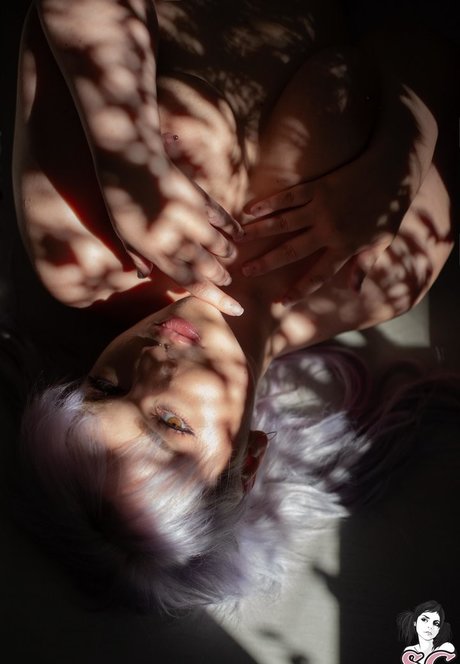 Mimo 最高のスター 写真