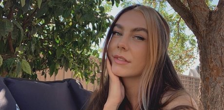 Paladinamber HDモデル 写真