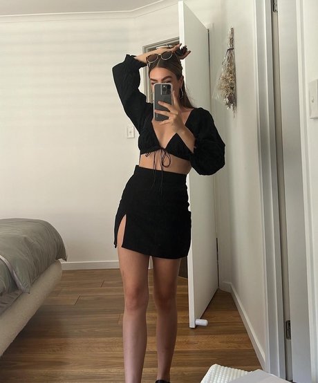 Paladinamber アートモデル 画像