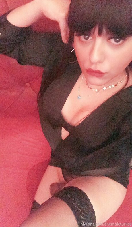 shemaleturkey アートモデル 写真