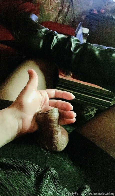 shemaleturkey 高品質のスター 画像