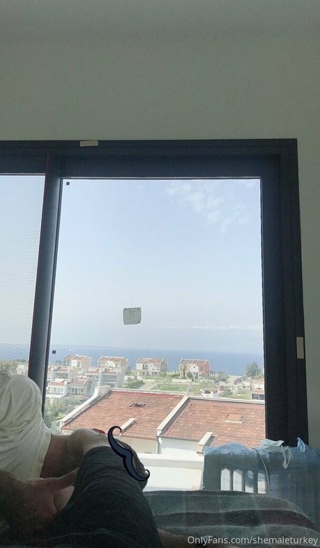 shemaleturkey 素敵な女優 アーカイブ