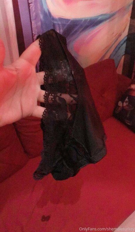 shemaleturkey ヌードモデル 写真