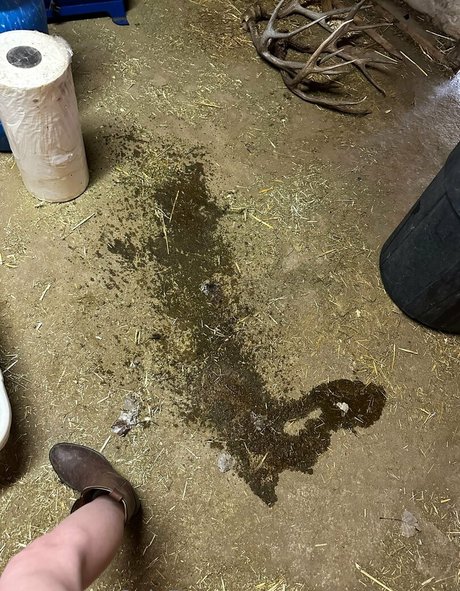 アマチュアディープスロートオンリーファンズ 無料ポルノ ギャラリー