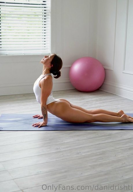 danidrishti HDモデル 写真