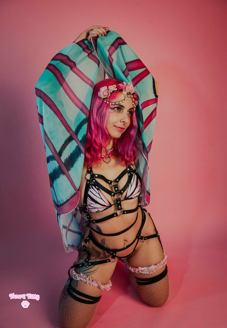 キムチオンリーファン 限定 ギャラリー