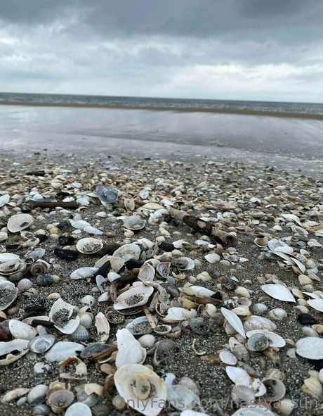 nastya sun ヌードスター 画像