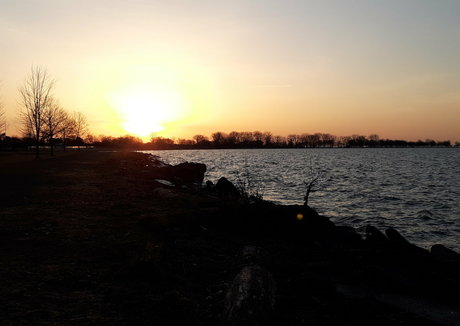 amaraveratrum スターセックス ギャラリー