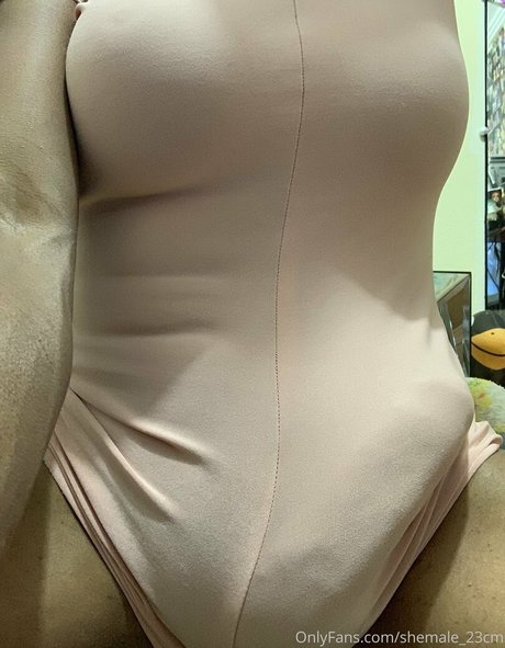 shemale 23cm アートポルノスター 写真