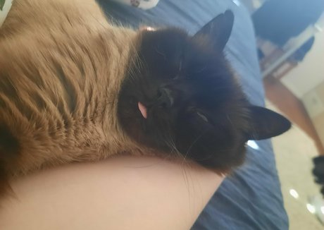 フェイシャルオンリーファンズ エロ 写真