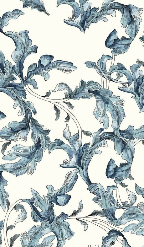 kittensugar 完璧なモデル 画像