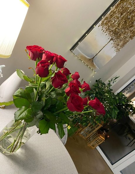 artease 無料スター アーカイブ