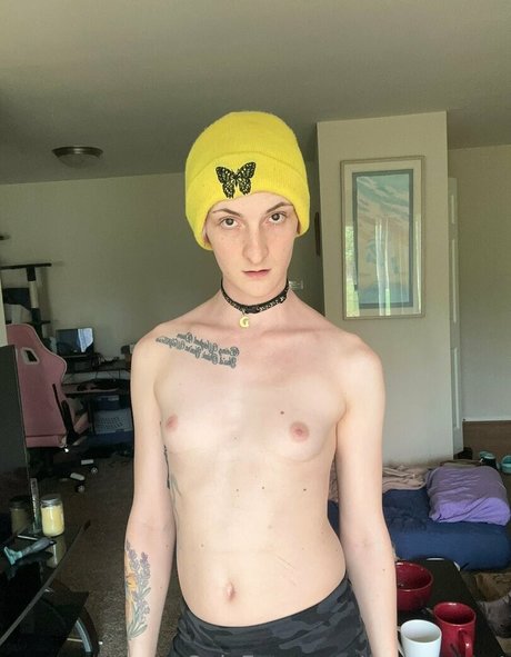 sunnyyy cat 完璧なモデル 画像