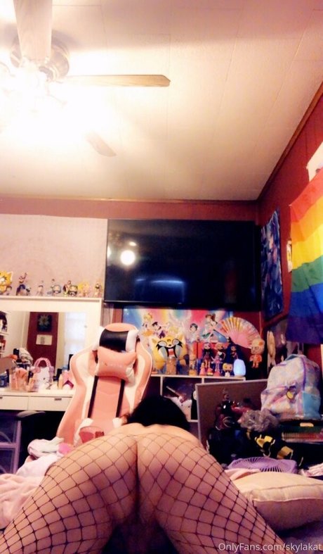 skylakat 最高のスター 写真