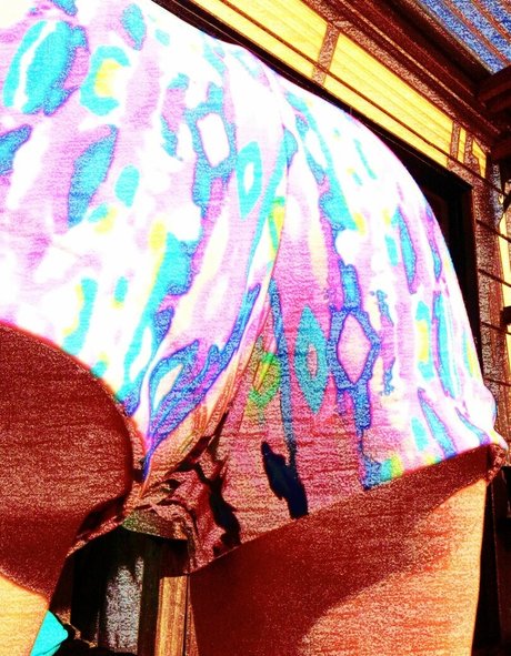 orchardgirlnz 裸モデル ギャラリー