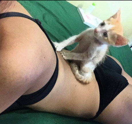 Sas Sy 高品質のポルノスター 画像