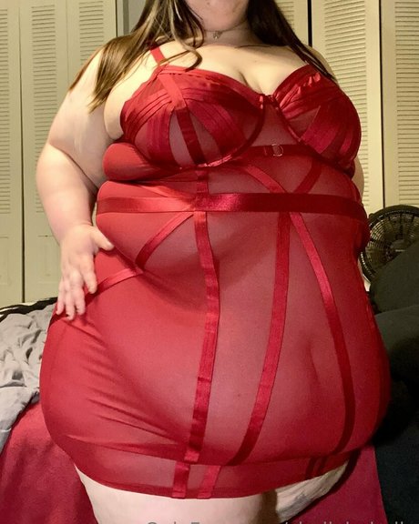 shellybobelly 最高のスター 画像