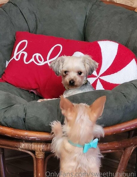 エクストリームオンリーファン 無料裸 ギャラリー