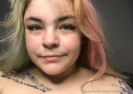 ciricesinssfw アートポルノスター アーカイブ