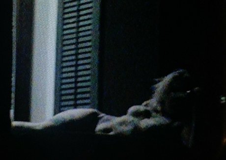 Velvetears ヌードスター 写真