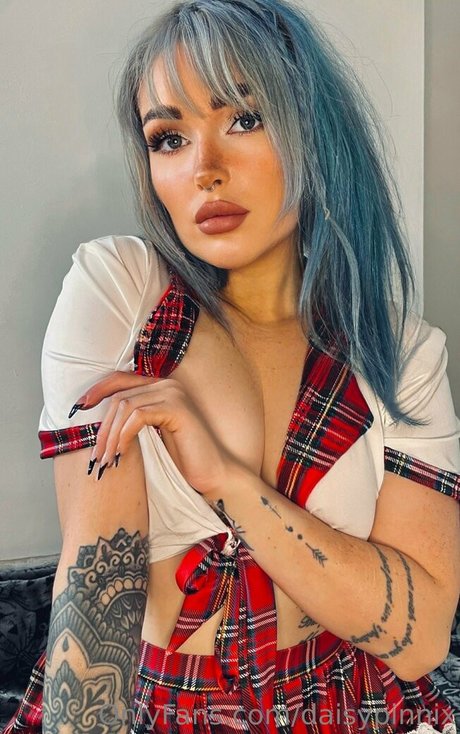 daisypinnix 完璧なスター 写真