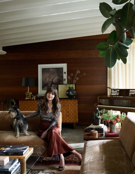 Dakota Johnson ヌードスター 写真