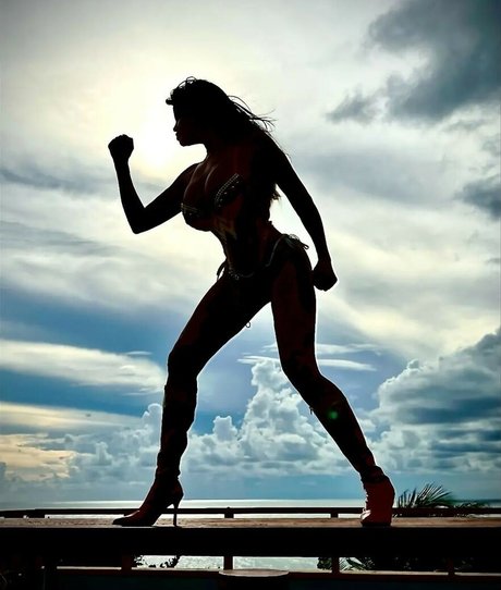 Dana Hamm 美しいモデル 画像