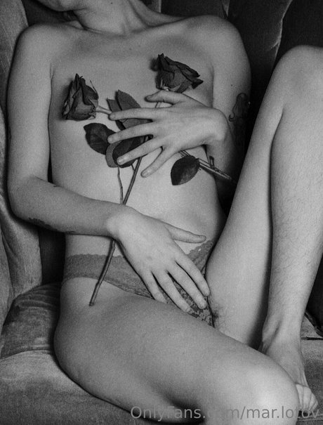 mar lotov トップスター 画像