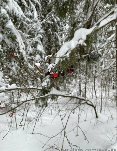 JOIティーンオンリーファンズ 無料xxx ギャラリー