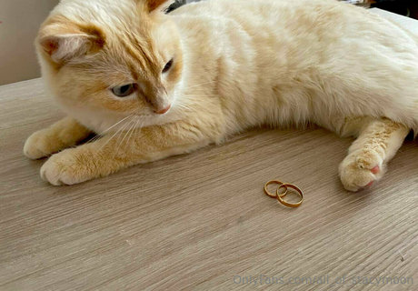 大学のアジア人オンリーファンズ アートヌード 画像