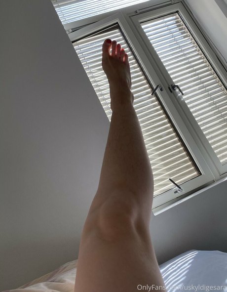 獣医オンリーファンズ アートヌード 写真