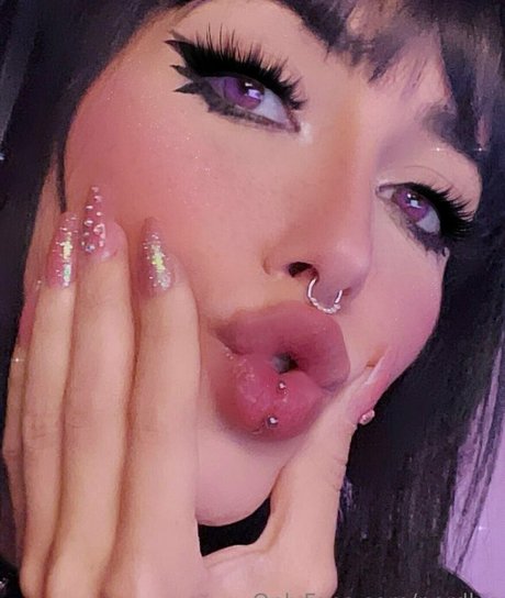 nordlys 無料モデル 写真