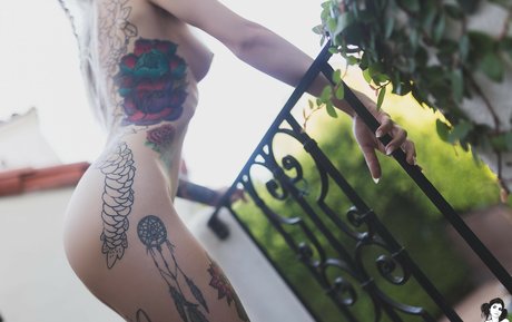 Ivory 素敵なスター 写真