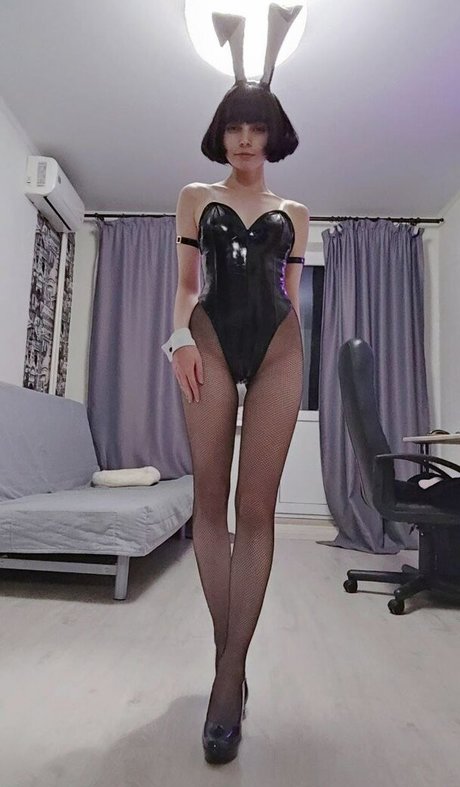 OwlLit HDモデル 写真