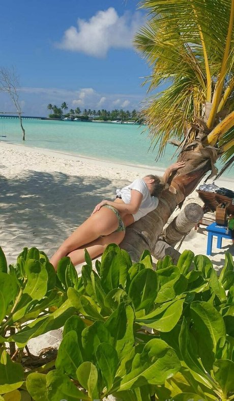 ita96elly 高品質モデル 写真