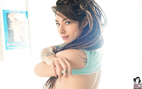 Alerose トップモデル 画像