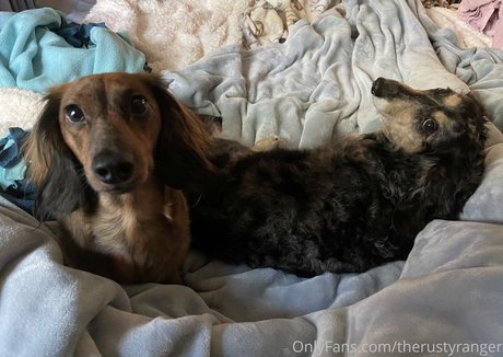 ボディビルダーヌードオンリーファンズ ベスト 写真