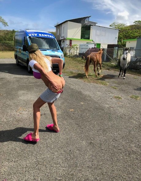 Puma Swede 写真集