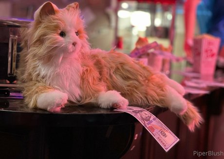 変なゲイのオンリーファンズ ホット裸 アーカイブ