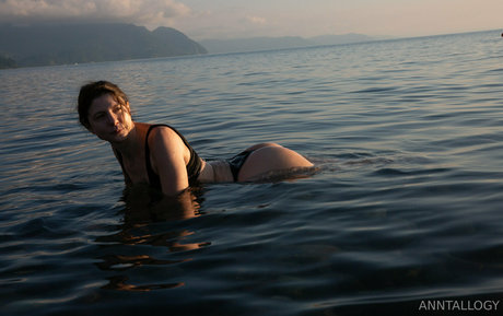 anntallogy HDスター ギャラリー