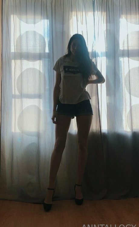 anntallogy 美しいスター 写真