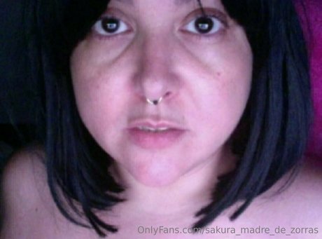 sa ku ra official 無料のスター 写真