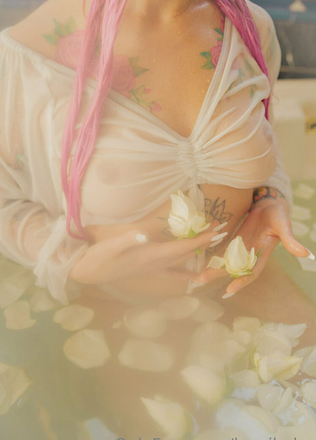 Layni Baby トップスター 写真