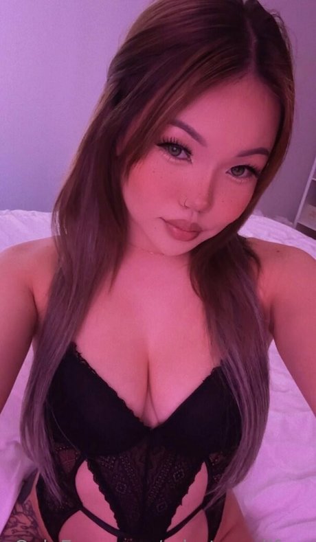 misstomeiifree 美しいモデル 画像