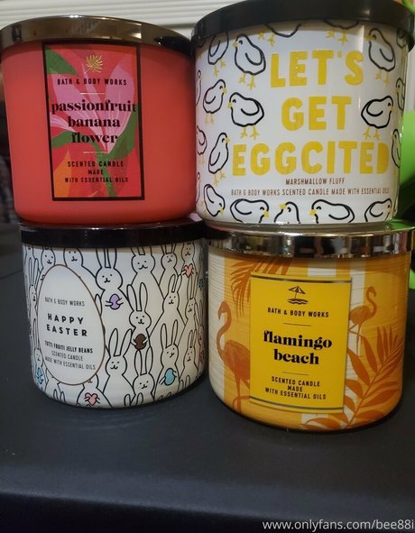 bee88i HDスター ギャラリー