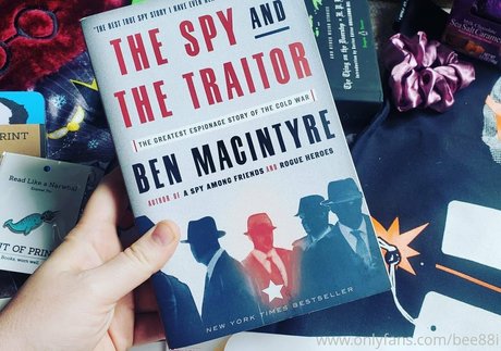 bee88i 素敵なポルノスター 写真