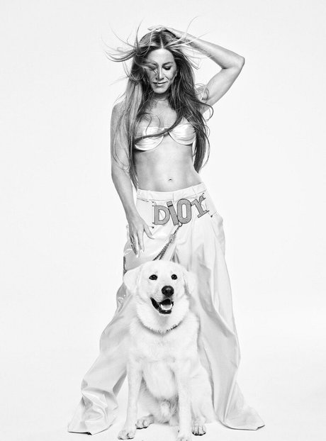 PPVトランスオンリーファンズなし ベスト 写真