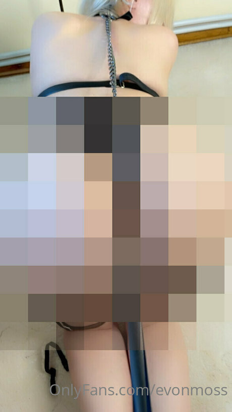 Evonmoss 素敵なスター ギャラリー