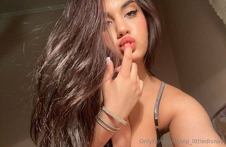 vip littledisnay HDモデル アーカイブ